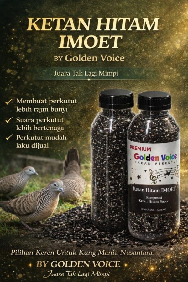ketan hitam golden voice