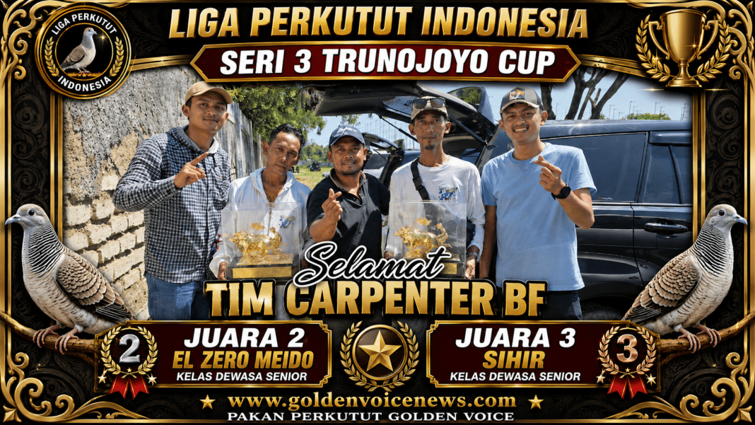 carpenter bf lombok