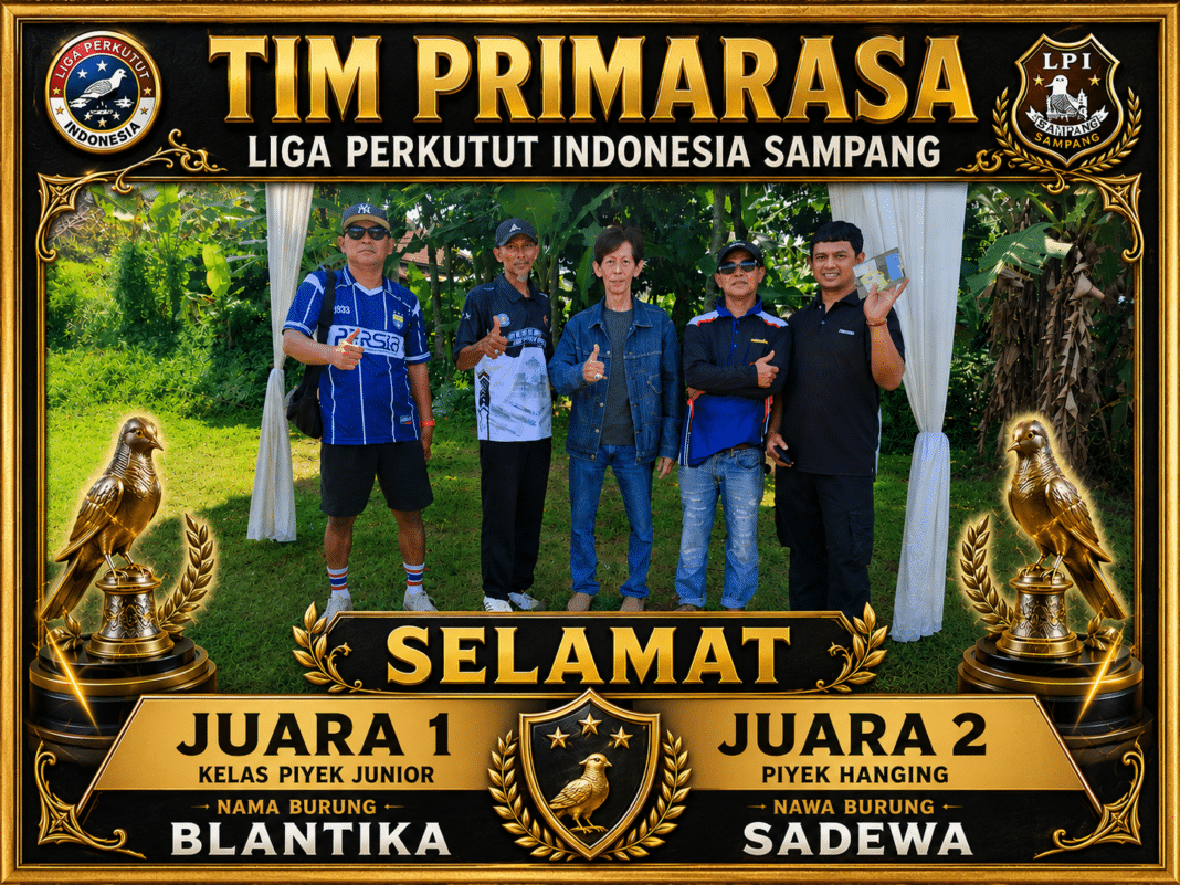 tim primarasa