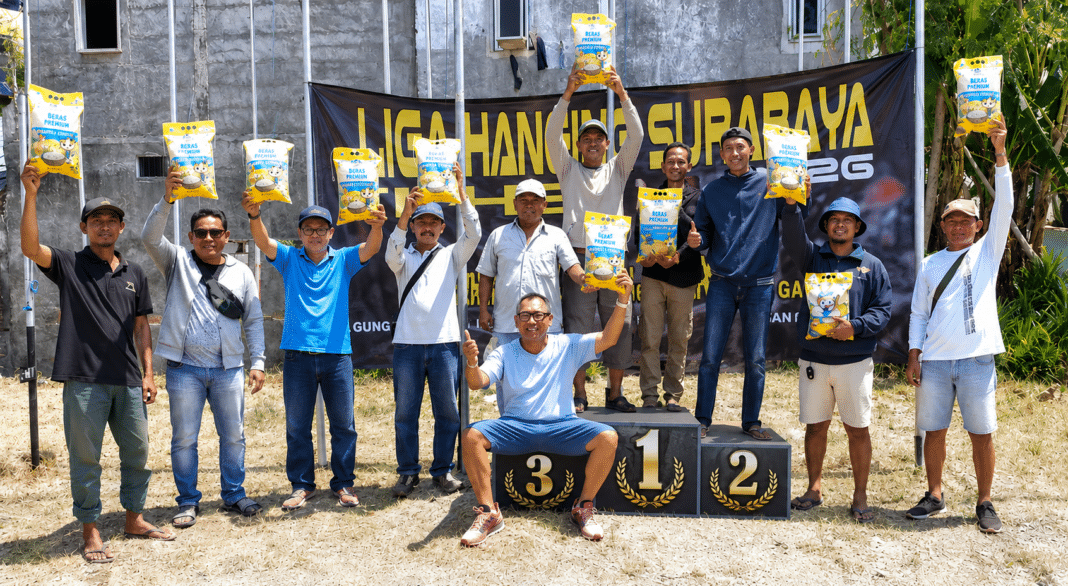 liga hanging seri 6