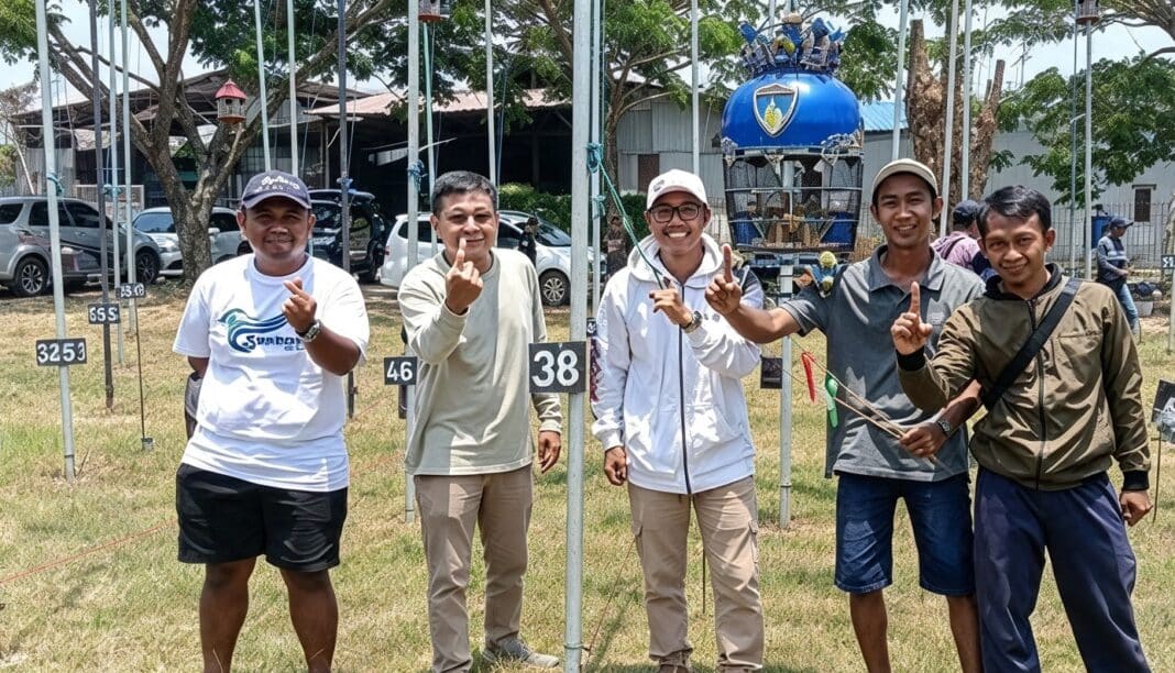 brewok milik cokro hindoyo